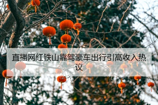 直播网红铁山靠驾豪车出行引高收入热议